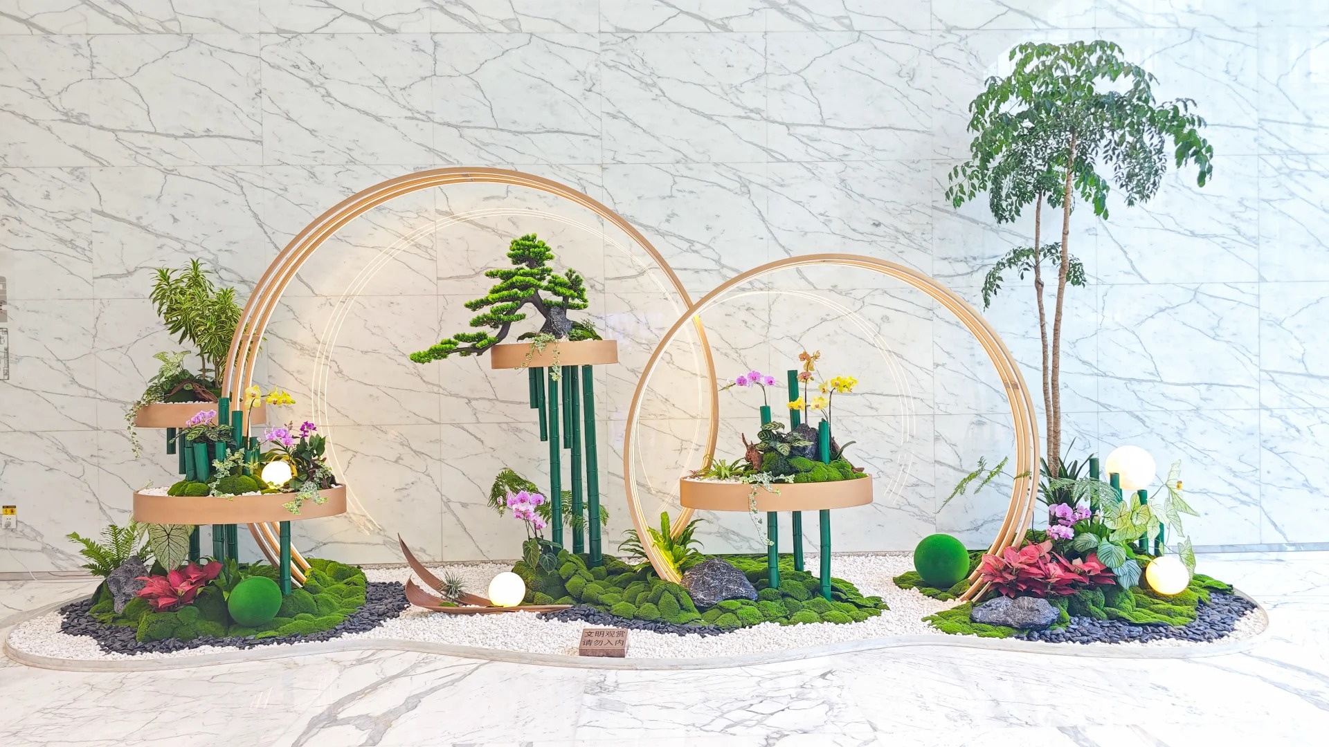 优质服务的宁波余姚盆景出租，绿植魅力尽显